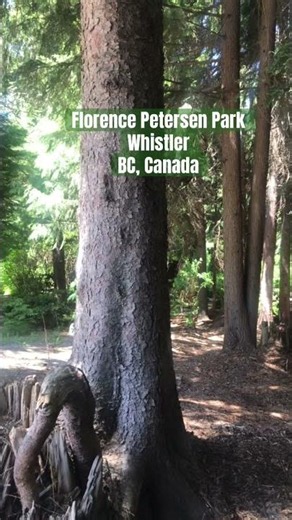 Exploring a Quiet Park in Whistler, Canada #travel #pnw #nature #nationalpark #hiking