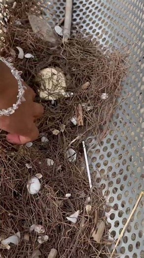 OMG! I Found a GOLDEN Compass on the Beach 🌊