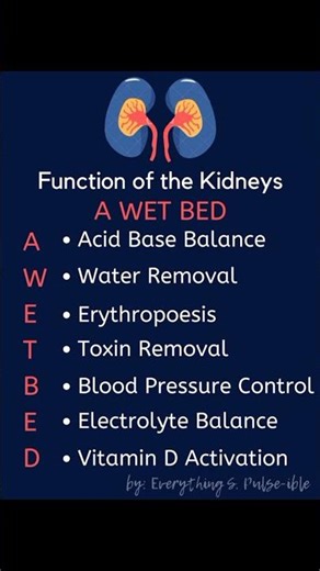 Health | Kidney Functions