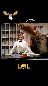 18K views · 11K reactions | Hello, I am English, I learnt it from a...