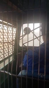 5.9K views · 25 reactions | Its not Fog or my camera is not blury!!!! How much does it cost to make this earth a better place to live  Can you share this post as much as possible.....so that it can reach to concern people  | Ezina | Facebook