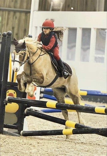 70cm Show Jumping Achievement in Equestrian Life