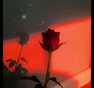 One of my best Penis subliminals that many people got their results from..