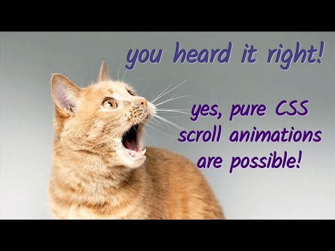 Pure CSS scroll animation