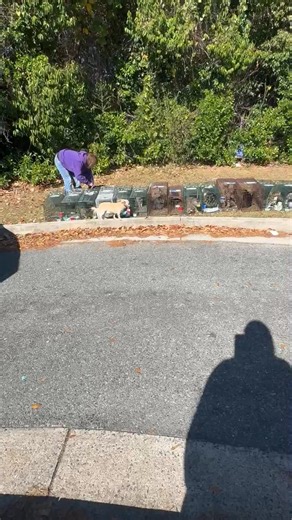 Heather Gavitt on Reels