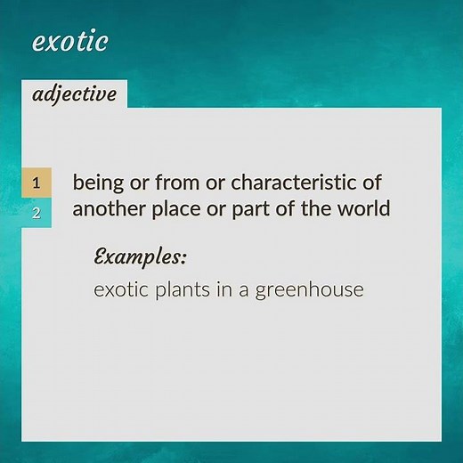 Exotic | meaning of Exotic