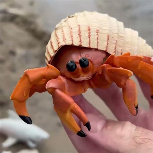 Sea Creature Toys on Display for Kids