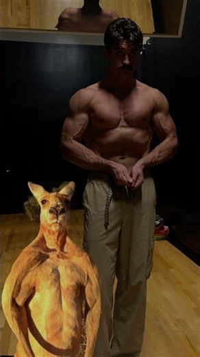 Roger the Kangeroo is lowkey my inspiration #kangaroo #gym #fitness #zoo #fit #physique #motivation