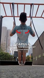 inverted / Australian row pulling basics #howto #calisthenics #bodyweightworkout #fitness