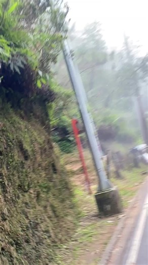 Exploring the Best Features of the Toyota Hiace