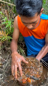 1.4M views · 2.7K reactions | Gold discovery in a small ditch in an oil palm plantation #golddiscovery #goldprospecting #goldhunters #goldmining #goldpanning #goldnugget #goldrush #goldriver #lookingforgold | Nepri Andries | Facebook