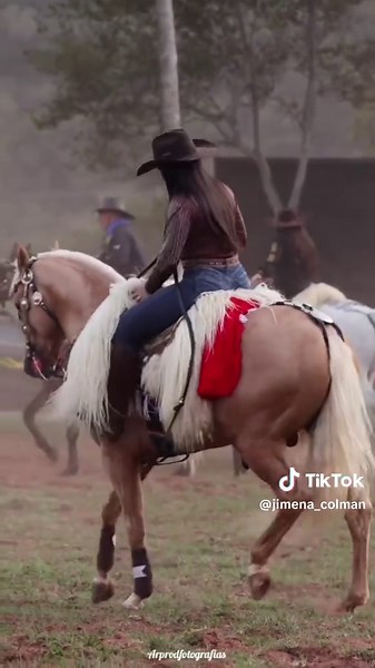 Impresionantes Fotografías de Amazonias