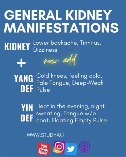 General makeup of TCM patterns