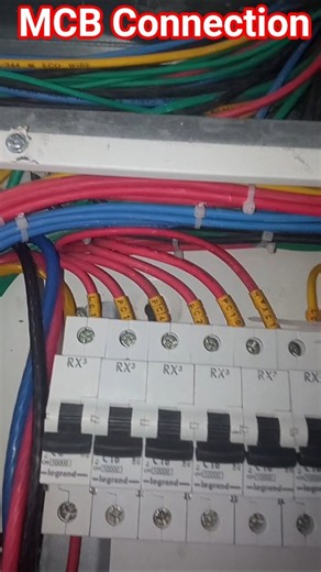 MCB Connection | DB MCB Box Wiring ▶️ #shorts #mcb #viral #electrician