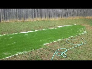 GROTRAX! 2 Week Review It's Growing