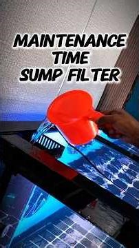 Maintenance Time Sump Filter