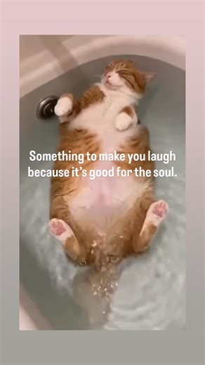 Laughter really is good medicine! 💛 Proverbs 17:22 reminds us, “A cheerful heart is good medicine, but a crushed spirit dries up the bones.” God designed joy to be healing — not just for our souls, but for our bodies too. When we laugh, we release peace, healing, and strength into every cell. So smile, laugh often, and let God’s joy fill your heart today. ✨ Laughter heals. Joy restores. God renews. When was the last time you laughed until your sides hurt? Maybe that’s exactly the medicine your 