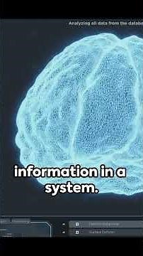 Integrated Information Theory: Understanding the Complexity of Consciousness
