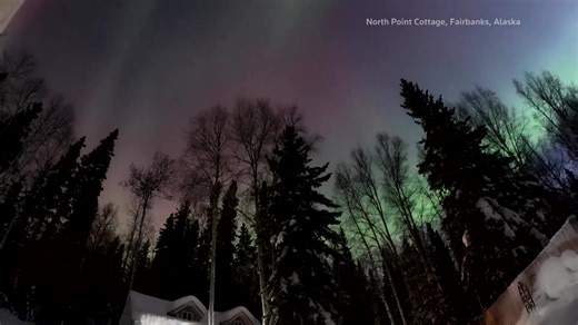Timelapse video from Alaska captured the night sky over Fairbanks, lit up by an aurora, with streaks of green and purple putting on a stunning display | Reuters