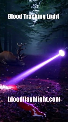 Blood Light for Tracking Deer Rechargeable