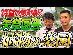 【矢祭園芸】日本のコロンビア!?珍しい植物をたっぷりとご紹介!!【園芸店】【ガーデニング】【初心者】