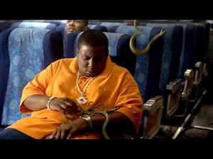 Snakes on a Plane full movie online free part 1