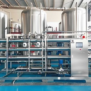 [Hot Item] Tcm Injection Protective Filtration System/ Membrane Refining and Impurity Removal System