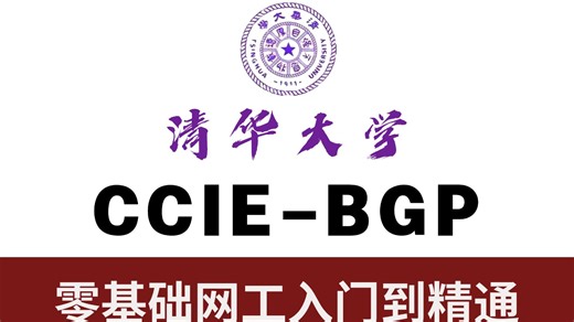 【思科EI-CCIE】一个视频彻底搞懂BGP路由协议工作原理到实战配置，网络工程师小白也可轻松上手丨路由交换丨项目案例