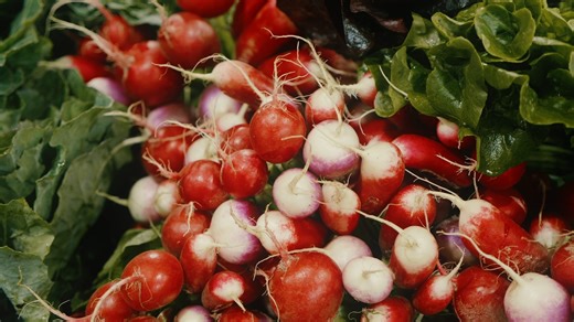 5.8K views · 167 reactions | We are stocking up at The Chef's Garden Farm Market for your Thanksgiving! Come out and see us. | Farmer Lee Jones | Facebook