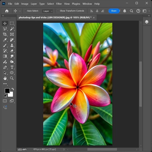 8.7K views · 72 reactions | How to create glass photo effects on flower image in Photoshop | Photoshop tips and tricks | Facebook