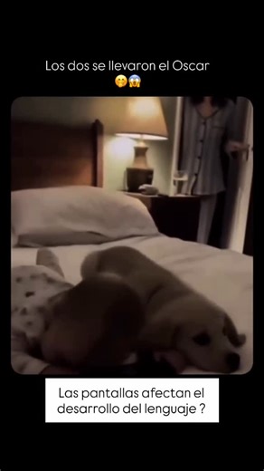 Mariana y Equipo Terapeutas de lenguaje 🇲🇽 on Instagram: "Las pantallas afectan el desarrollo del lenguaje? La respuesta no es blanco o negro, depende de cómo, cuánto y para qué se usen. Durante los primeros años de vida, el lenguaje se construye principalmente a través de: 👉 la interacción 👉 la mirada 👉 los turnos 👉 la repetición con intención Las pantallas no dañan por sí solas, pero sí pueden afectar cuando: ❌ reemplazan el juego ❌ sustituyen la conversación ❌ se usan para calmar emocio