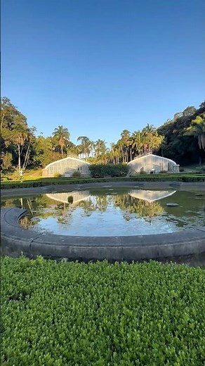 Jardim Botânico São Paulo #viagem