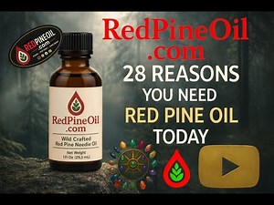 28 Reasons People Are Turning to Red Pine Oil (Ancient Pine Power)