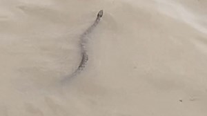 #KOAMbreaking #Route66 at Carthage, Mo. on Spring River. Water is up about 8.5-feet. More rain on the way. >> https://bit.ly/4ddDFsF — #KOAMflashfloodwarning 🚧 Do not move barricades, do not drive around them. You could be ticketed for putting others at unnecessary risk. *Flash Flood Warning* Rainfall amounts as of Friday: Fort Scott- 4.09 inches at 7 am Pittsburg- 3.62 inches at 7:45 am Carthage- 6.82 inches at 7:45 am Mt. Vernon- 4.77 inches at 8 am Nevada- 4.17 inches at 7:45 am | Joplin New