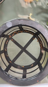 Chitipat Thananitdullayaphak on Reels