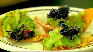 Mexico Cuisine: Edible insects growing in popularity