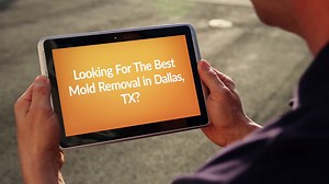 Best Mold Removal in Dallas, TX
