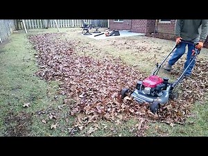 Honda HRC216 Lawnmower Mulching Leaves