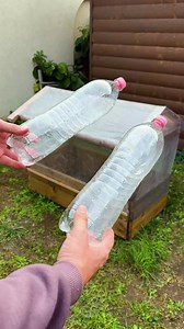 1.6M views · 20K reactions | DIY Mini Roof Using Recycled Plastic Bottles | DeMilked | Facebook