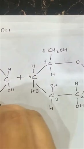 Structure of Maltose #disaccharides #carbohydrates #biology #MaamSaddaf