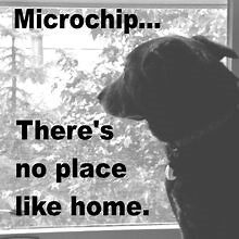 Vaccine & Microchip Clinics