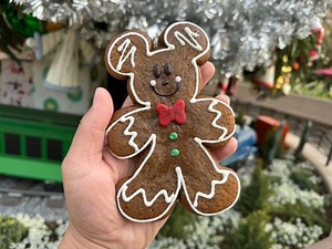 Dig into a Mickey Gingerbread Cookie at the Disneyland Resort | Chip and Company