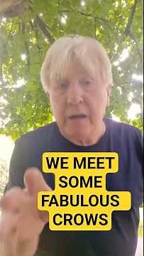 RUSTY &PUPPY FIND SOME CROWS