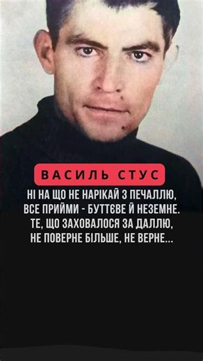 Василь Стус. Ні на що не нарікай з печаллю.../1960