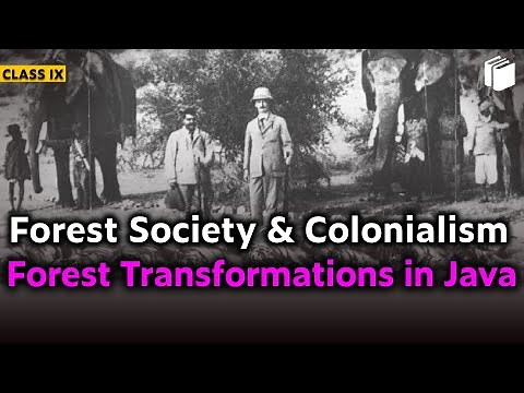 Forest Transformation in Java | Forest Society & Colonialism |Chapter 4 - History | Class 9 |PuStack