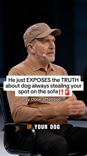 Charlotte Hart on Instagram: "Most vets will never tell you this 🐾 and If you’re from US comment your age❤️ grab Product here 👉 https://amazon.bugmd.com/FjBqMbbN #cat #furmom #catlover #petcare #newyork"