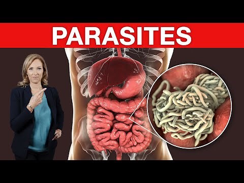 BEST Ways to Get Rid of PARASITES | Dr. Janine