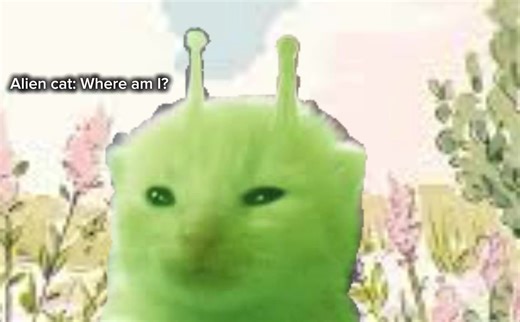 Alien cat edit#aliencat#fyp#leonkennedy | cats
