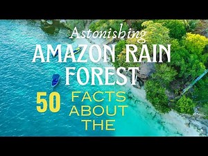50 Astonishing Facts about the Amazon Rainforest
