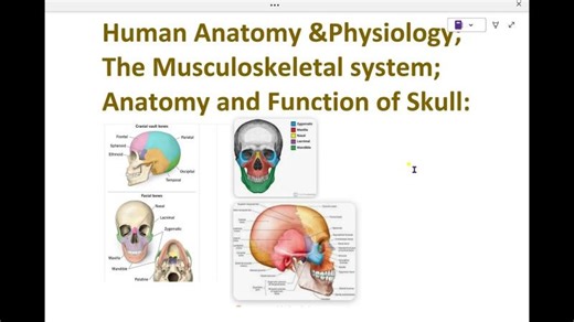 Human Anatomy Physiology; The Musculoskeletal system; Anatomy and Function of Skull:- 183. #skull | Ahamed Ameen
